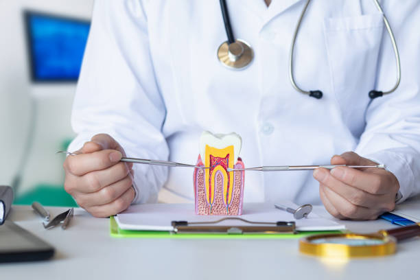 Best Emergency Dental Services for Seniors in Tuttle, OK